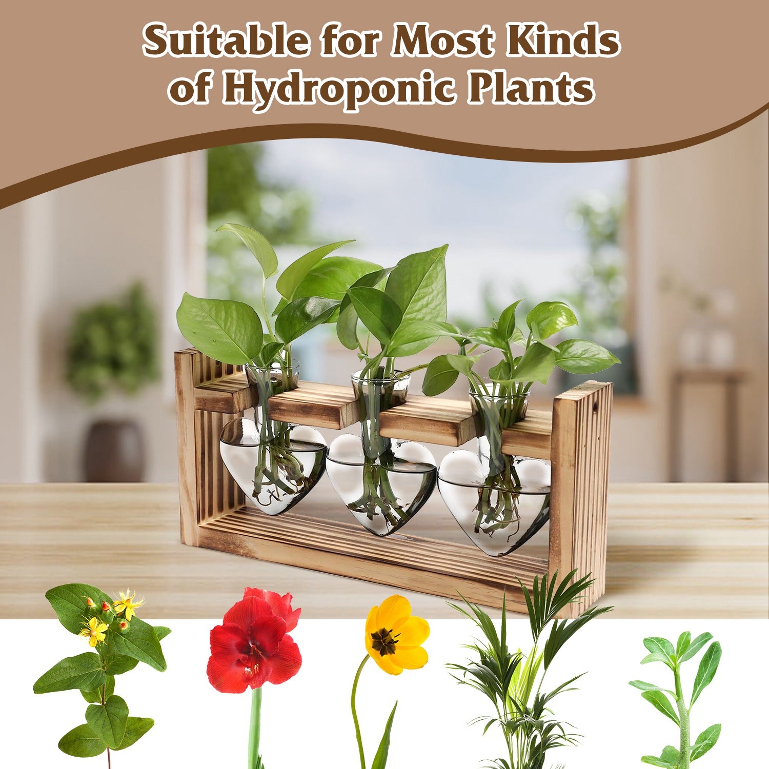 Heart-Shaped Glass Propagation Station — 3 Vases — alternate view 3