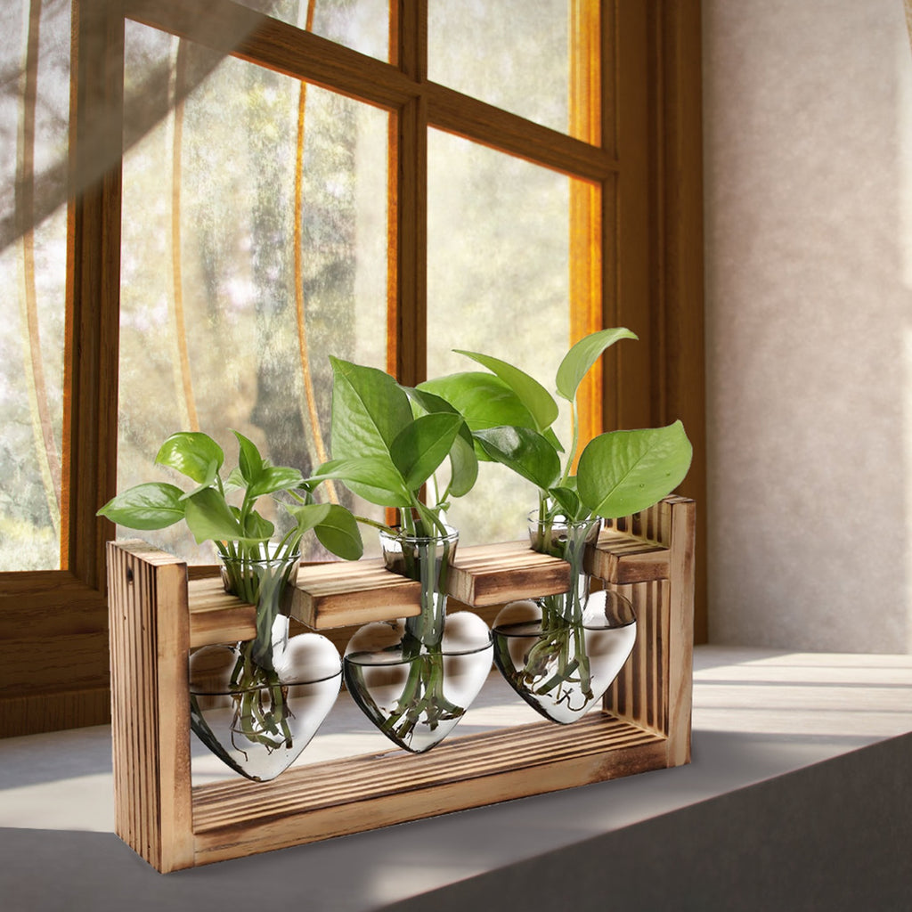 Heart-Shaped Glass Propagation Station — 3 Vases — alternate view 6