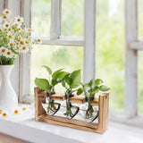 Heart-Shaped Glass Propagation Station — 3 Vases