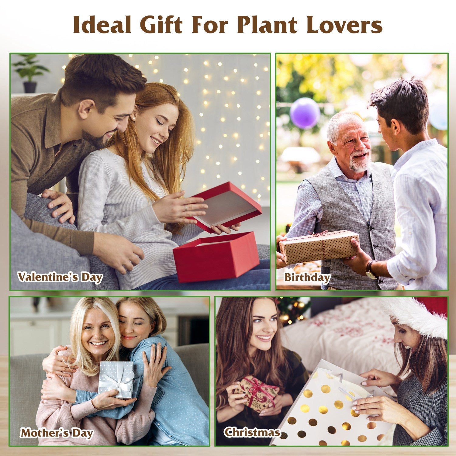 Heart-Shaped Glass Propagation Station — 3 Vases — alternate view 8