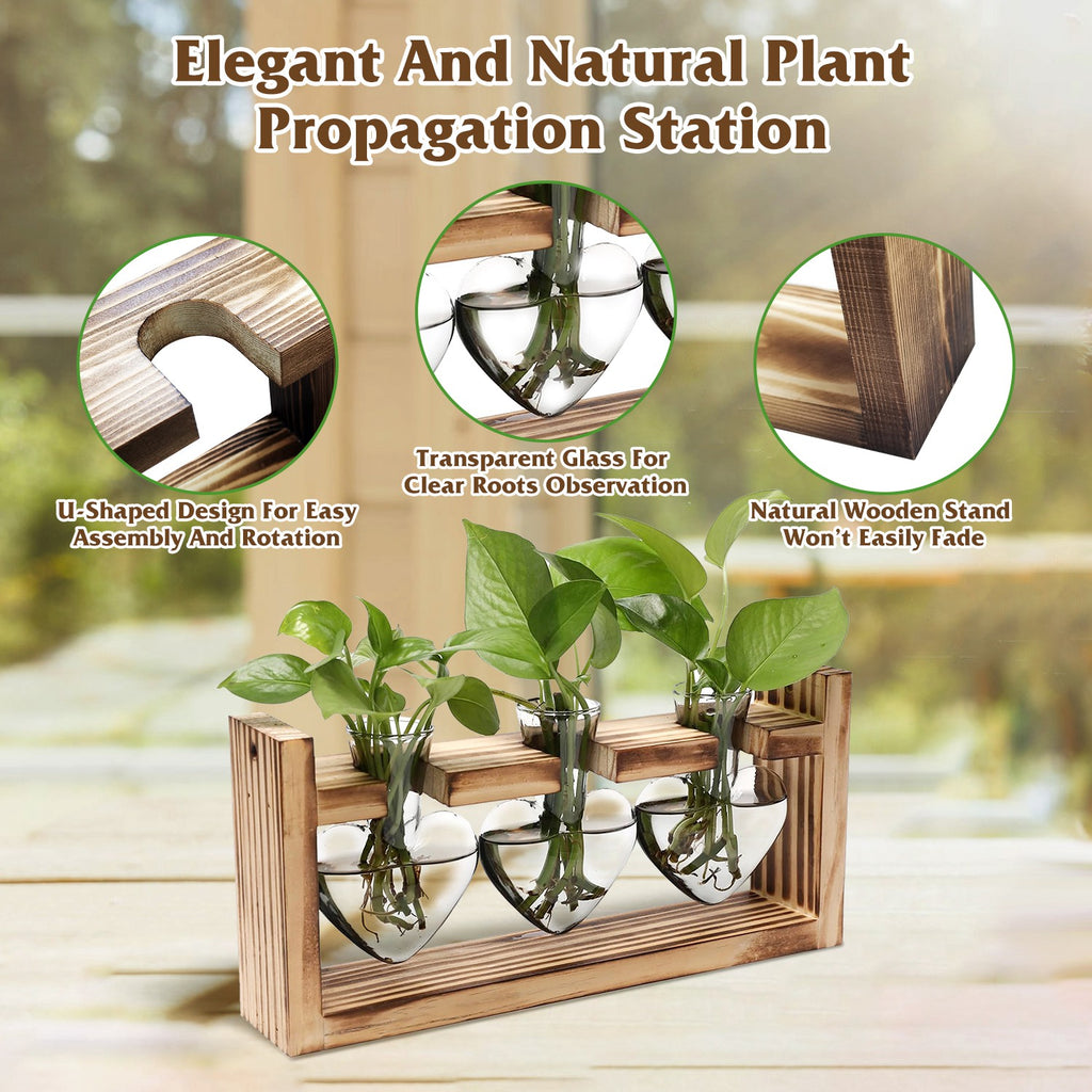 Heart-Shaped Glass Propagation Station — 3 Vases — alternate view 7